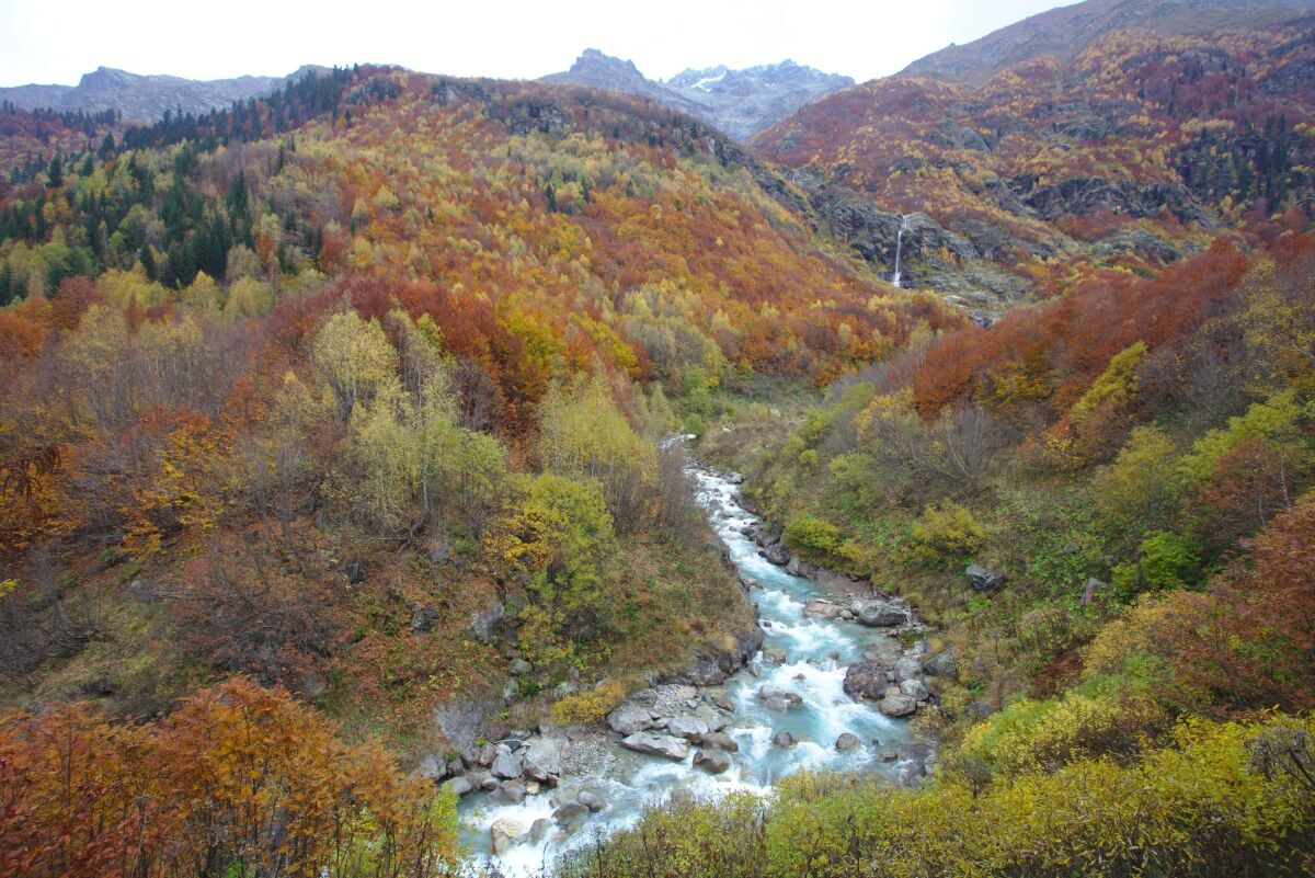 les, Gruzínsko