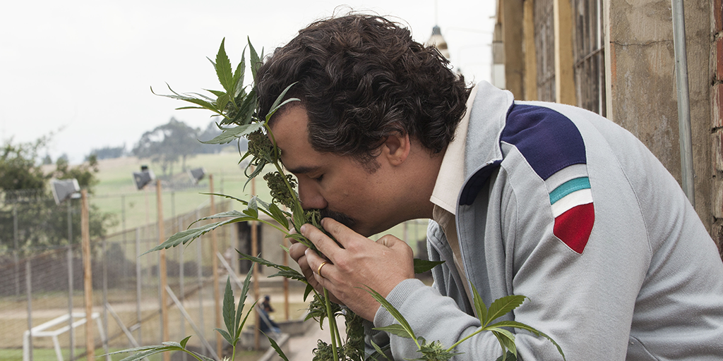 Wagner Moura ako seriálový Narcos mal pod palcom celý drogový biznis.
