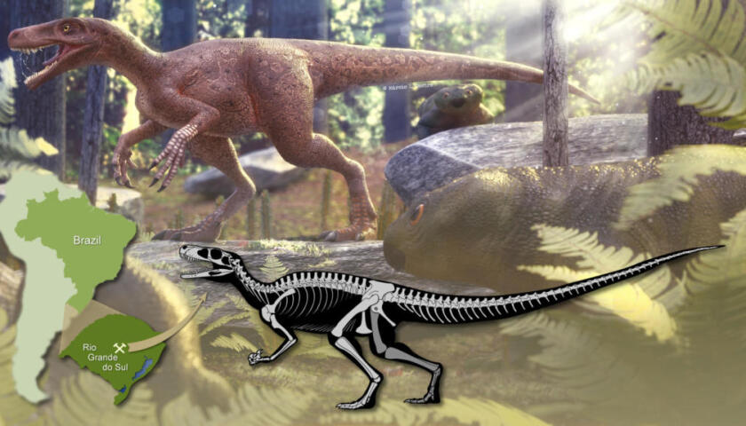 dinosa