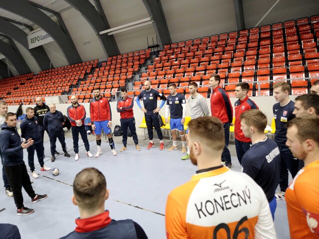 slovenskí hádzanári