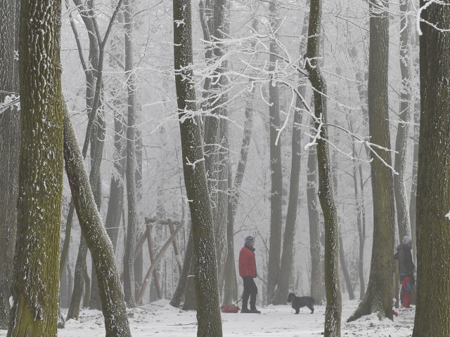 Košice Počasie Stromy Námraza