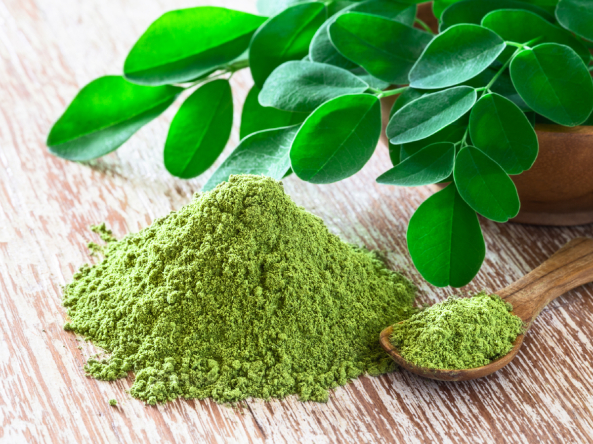 moringa