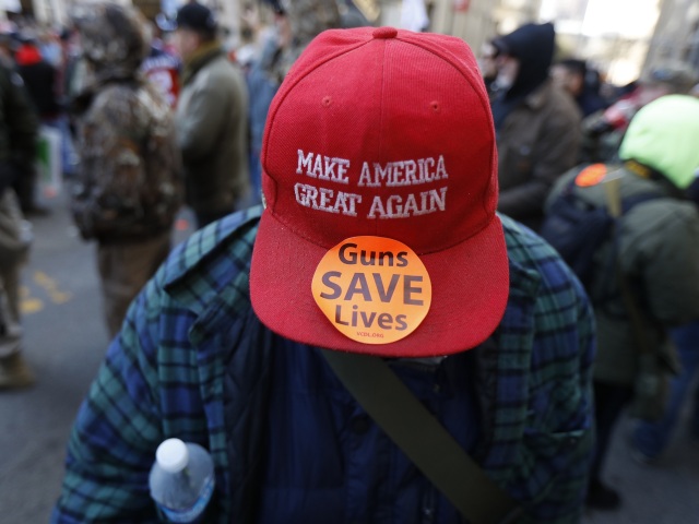 Pro Gun Rally Virginia