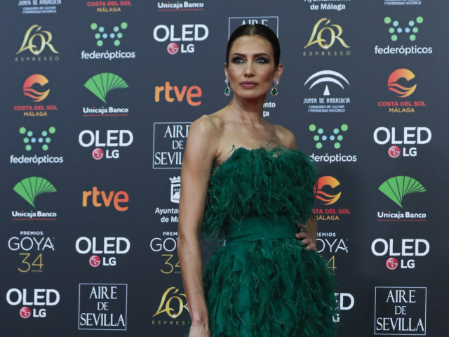 Modelka Nieves Alvarez prišla v kreácii Alberta Ferretti. 