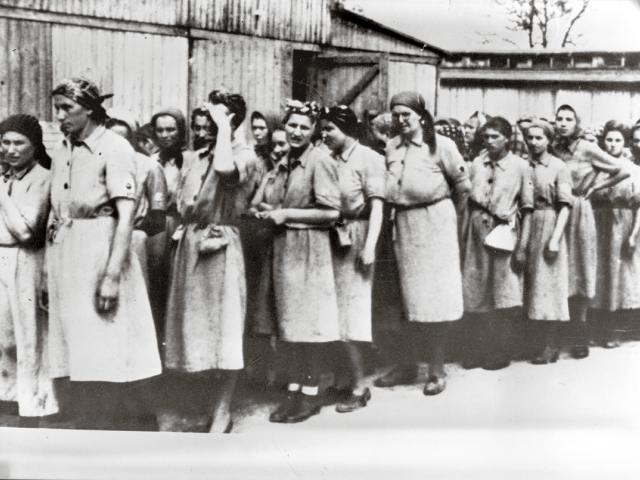 Eva Neumannová, Auschwitz