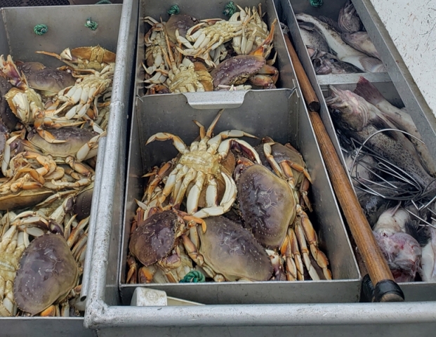 krab