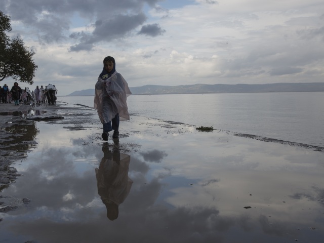 migranti / migrant /