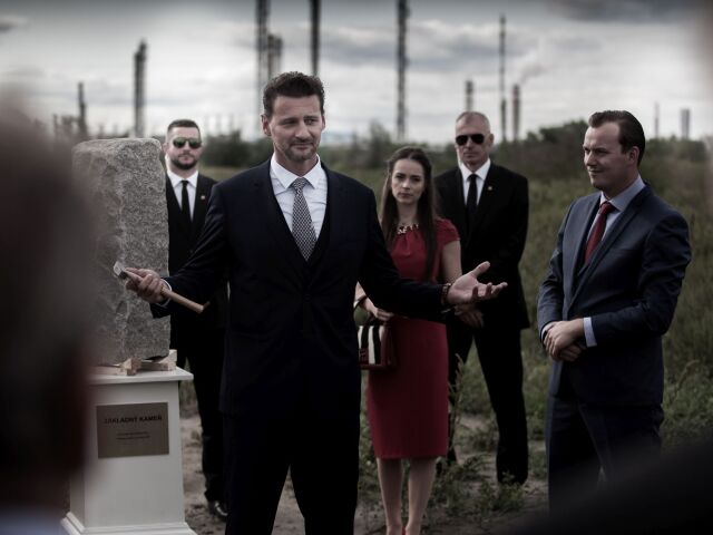 svina foto Lukasz Wojciechowski