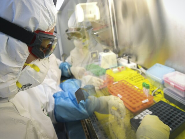 koronavírus, laboratórium