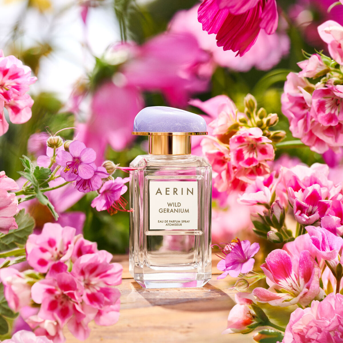 Aerin Wild Geranium
