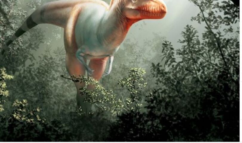 dino
