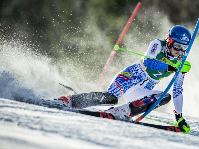 Vlhová