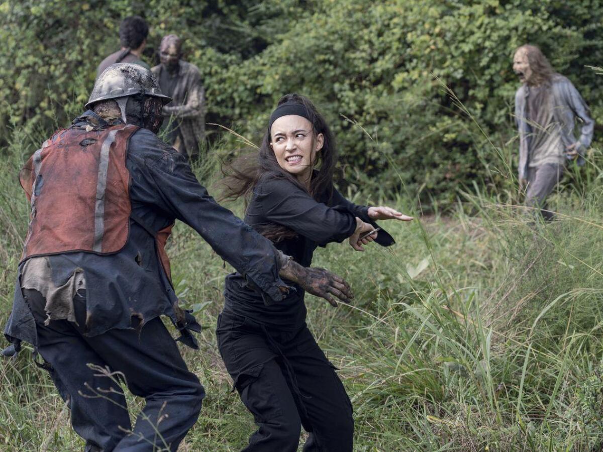 the walking dead, walking dead,