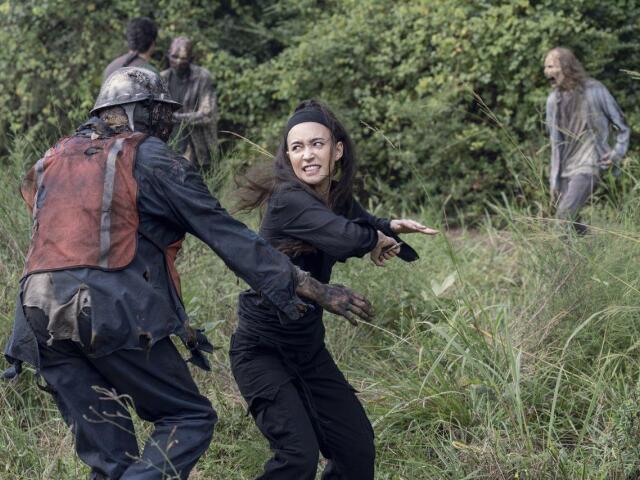 the walking dead, walking dead,