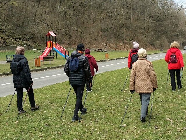 severská chôdza, nordic walking