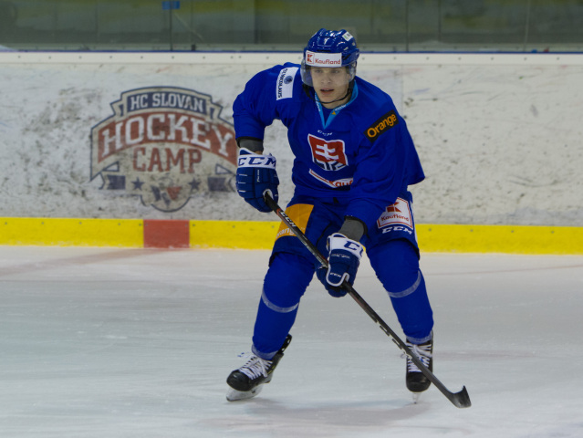 Adam Liška