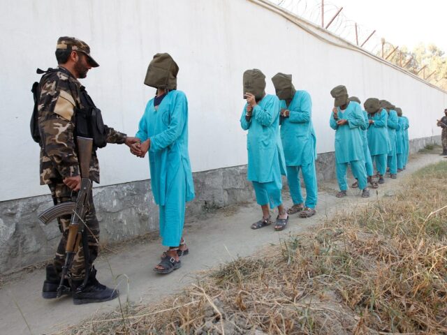 DN - Afganistan Taliban Vazni