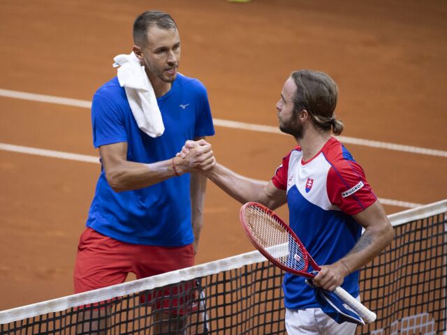 Andrej Martin, Lukáš Rosol