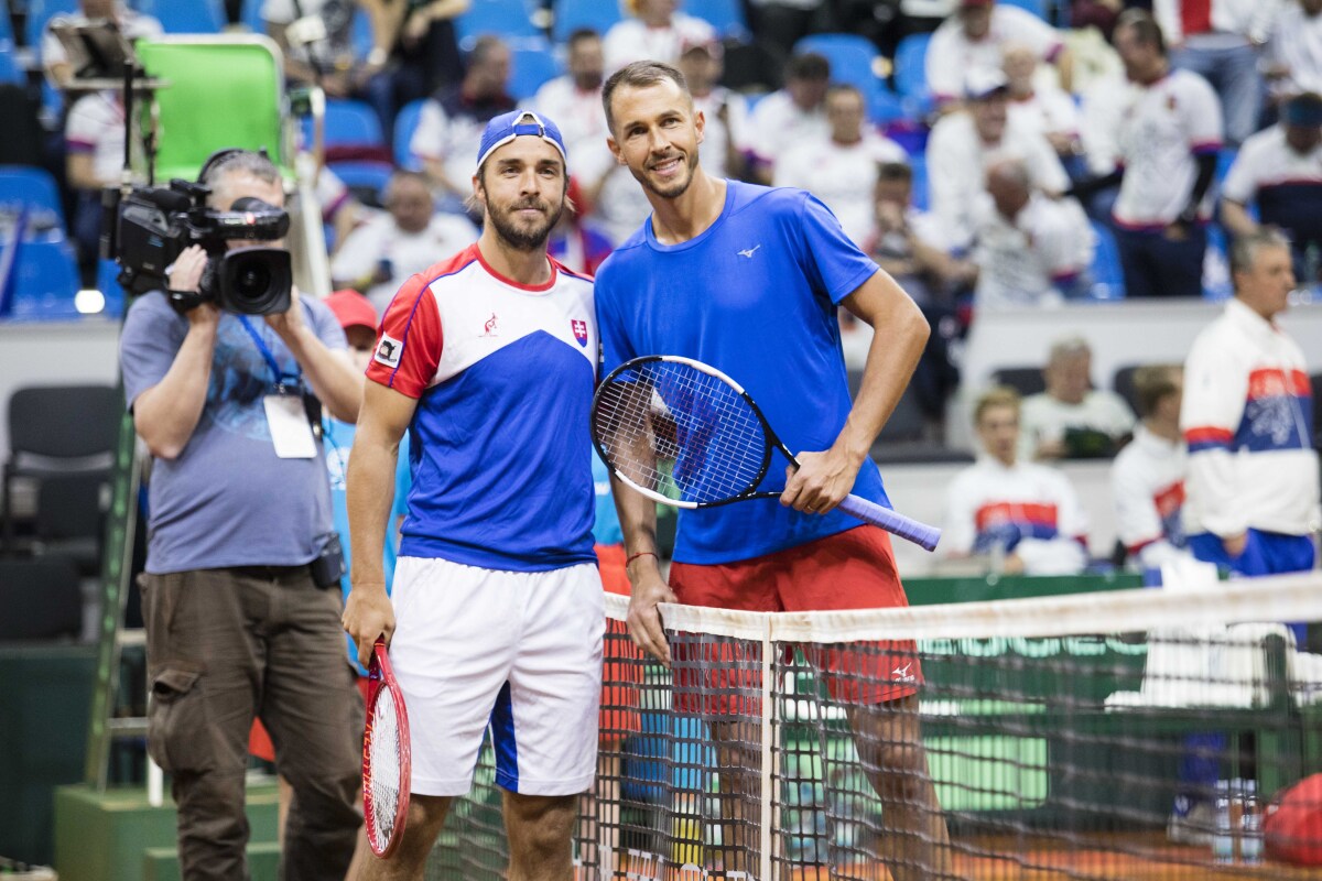 Andrej Martin, Lukáš Rosol