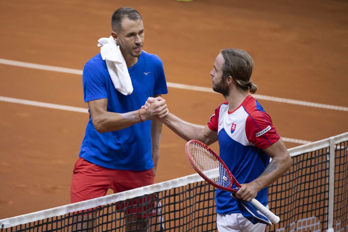 Andrej Martin, Lukáš Rosol