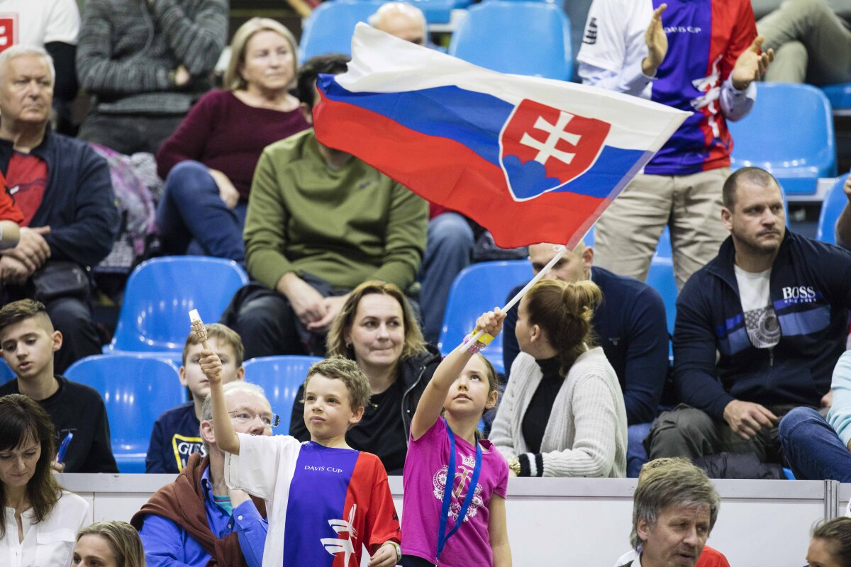 Slovensko, Česko, Davisov pohár