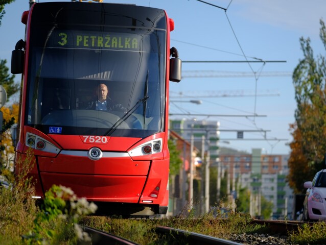 elektricka, petrzalka