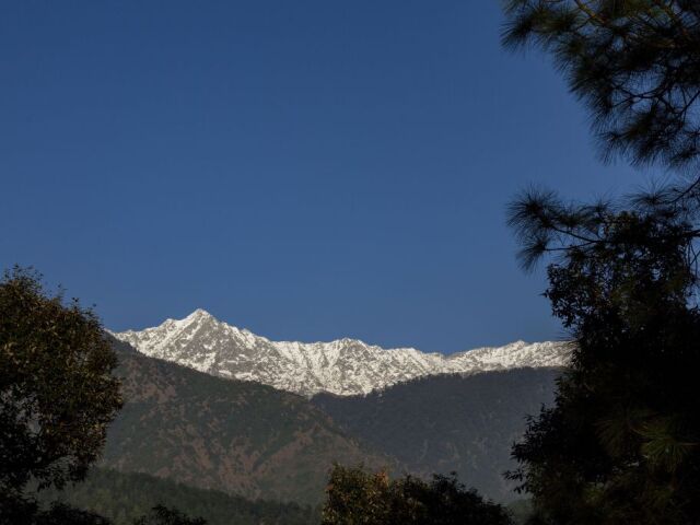India, hory, Himaláje, Dharmsala