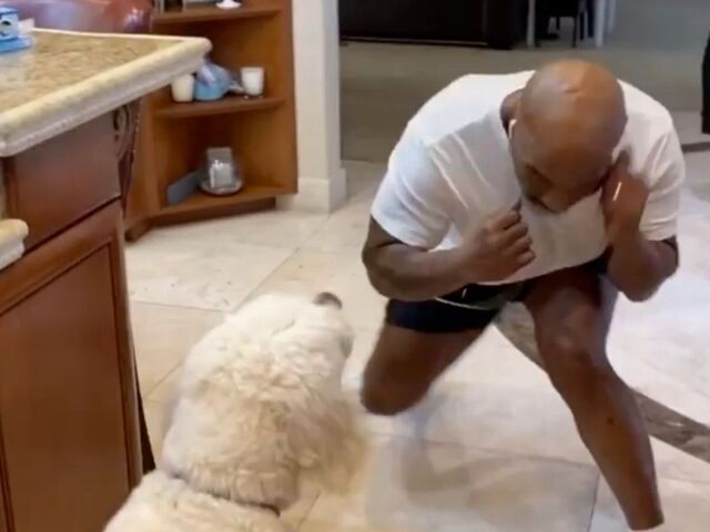 Mike Tyson