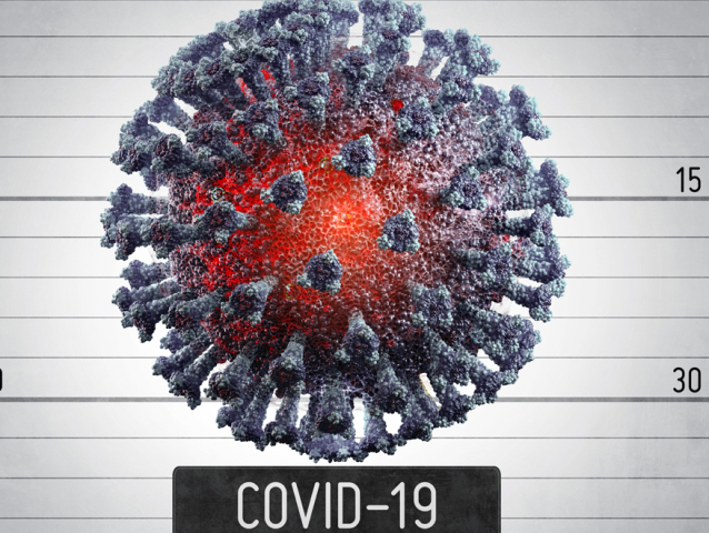 covid8