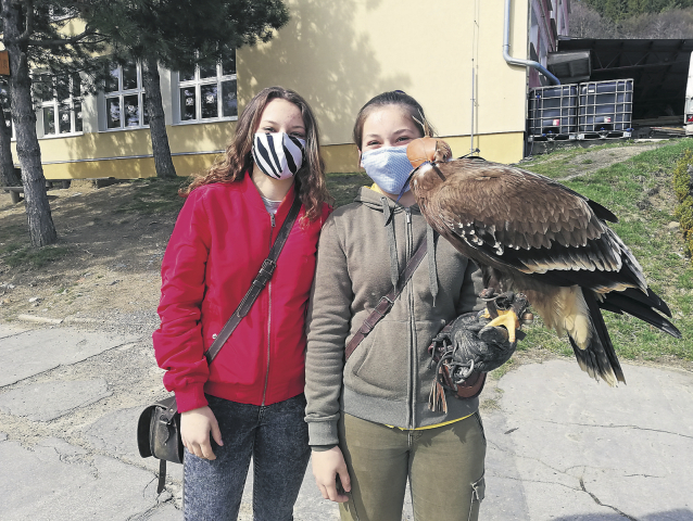 sokoliarstvo, Zoe, orlica