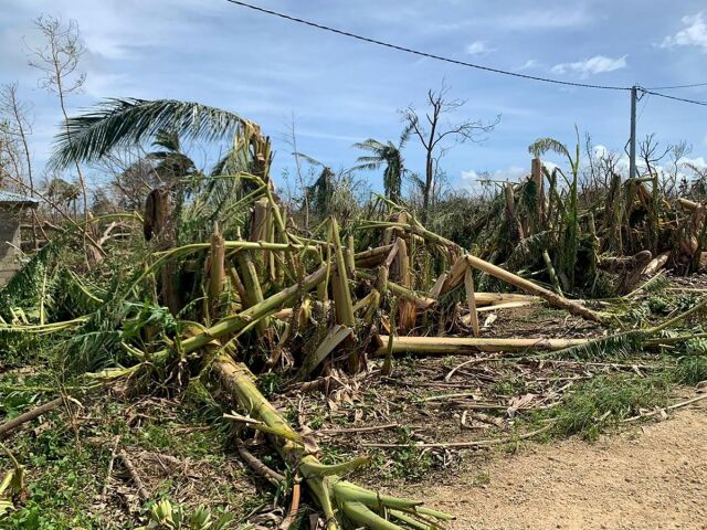 Harold po sebe zanechava skody  foto z Vanuatu.