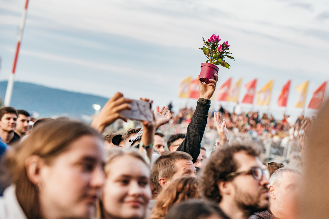 Pohoda 2019: The Roots