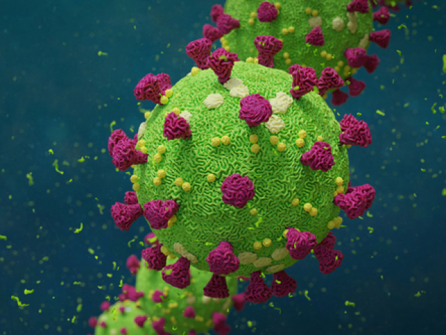 virus1