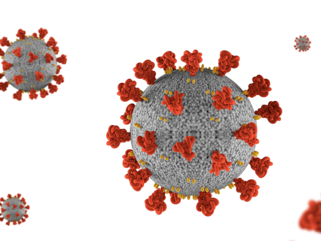 virus2