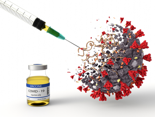 virus6