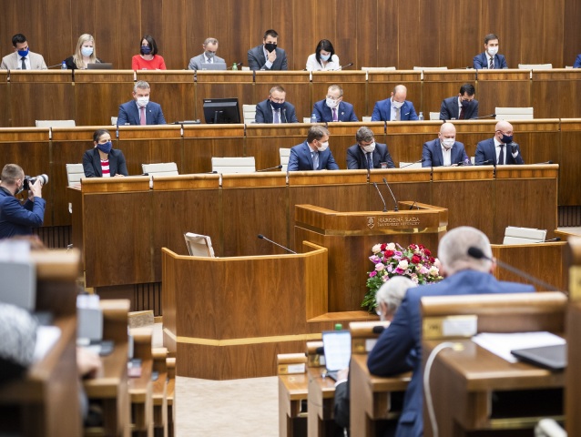vláda, parlament