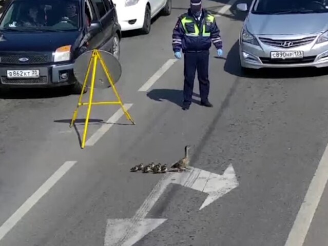 kacky, rusko, cesta