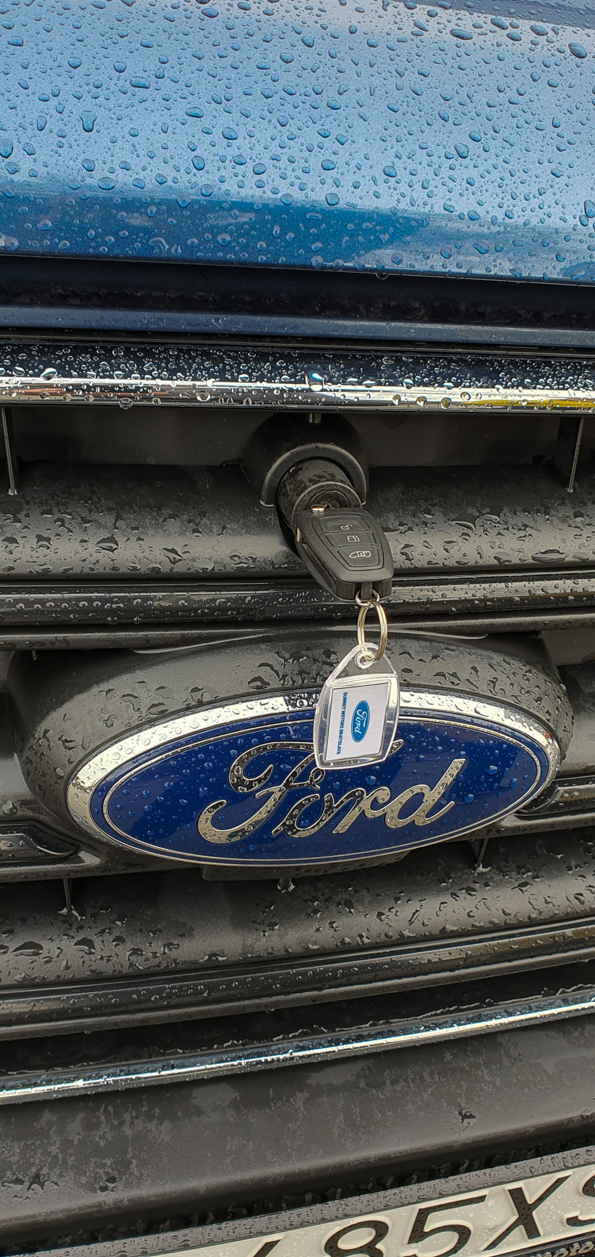 Ford Transit Van