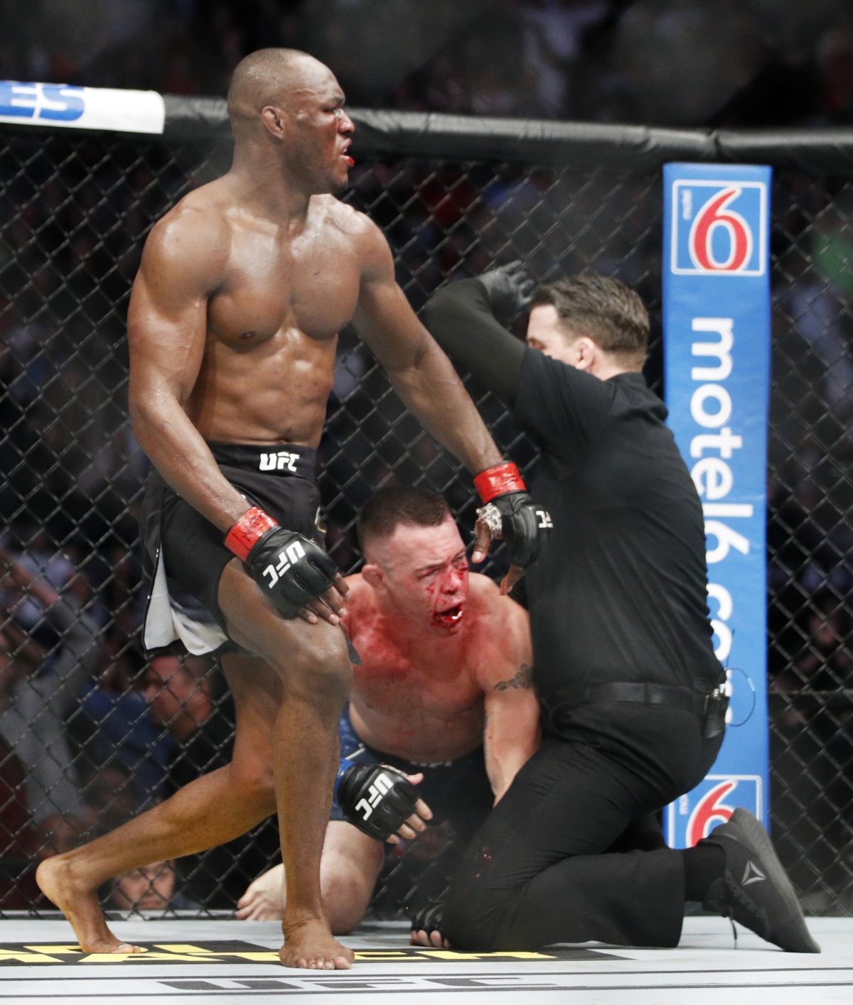 UFC 245 Mixed Martial Arts