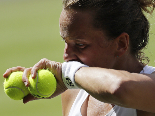 Barbora Strýcová
