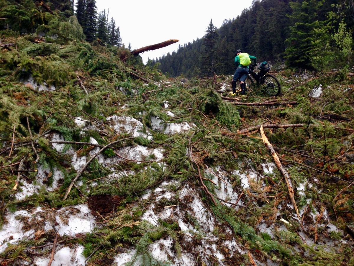 Roman Bojda, Tour Divide