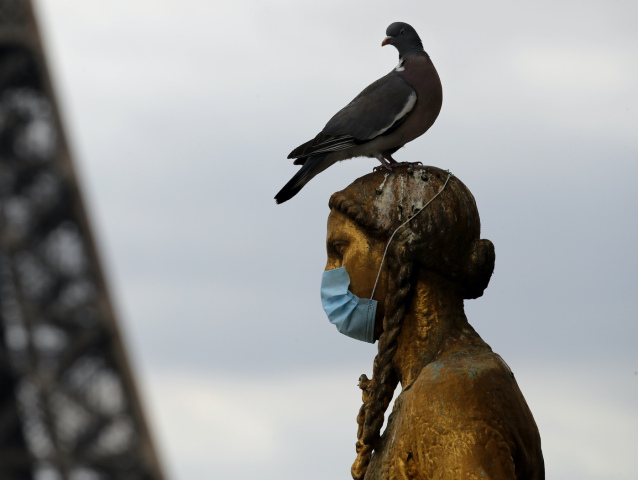 Virus Outbreak France