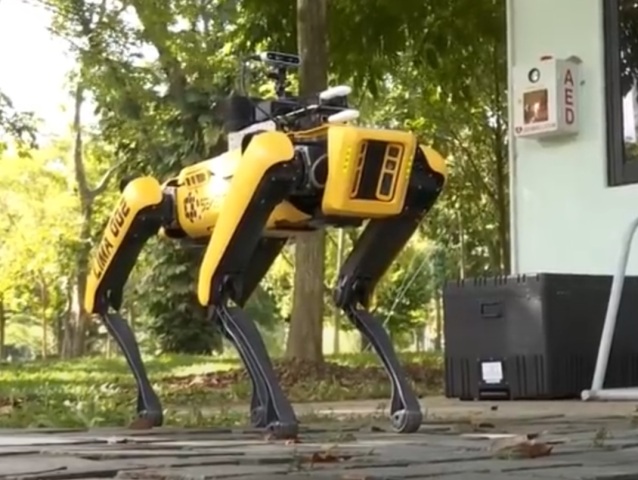 Boston Dynamics, robot
