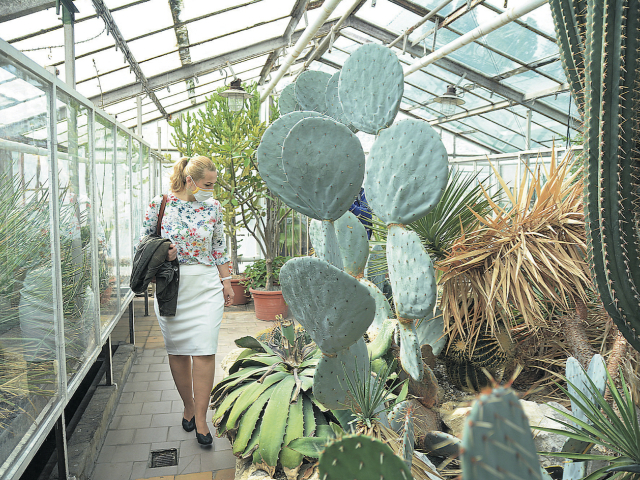 Botanická záhrada v Košiciach