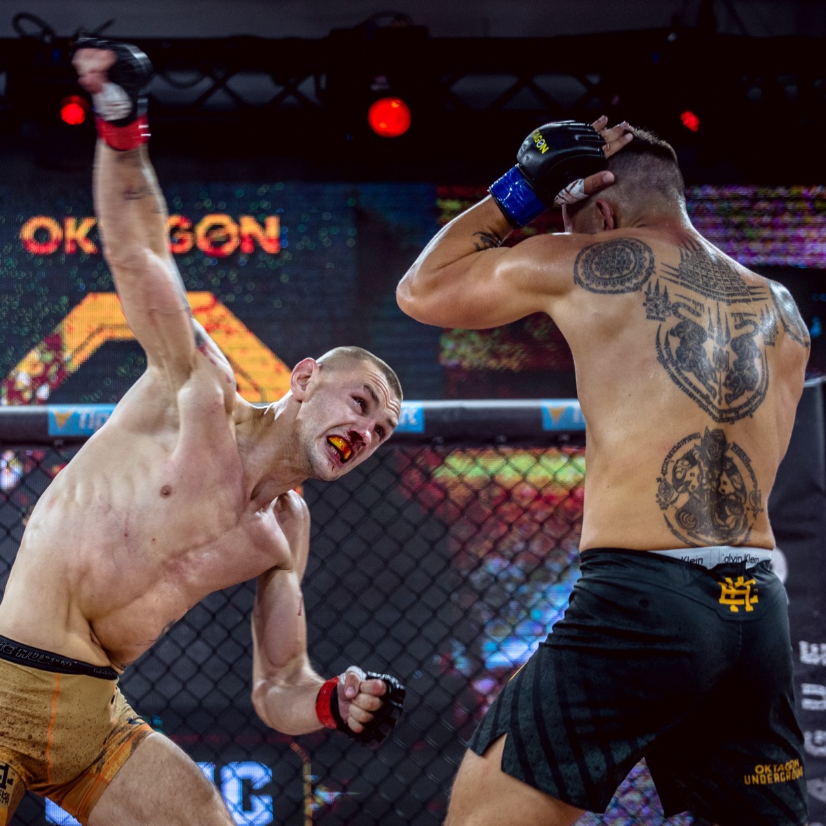 Cibinski MMA