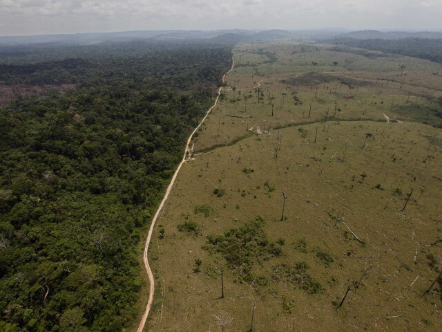 Brazília prales Amazonský odlesňovanie nárast