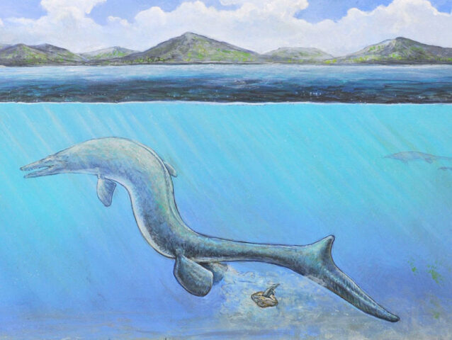 Maisano reconstruction-1-1200x675-c-default