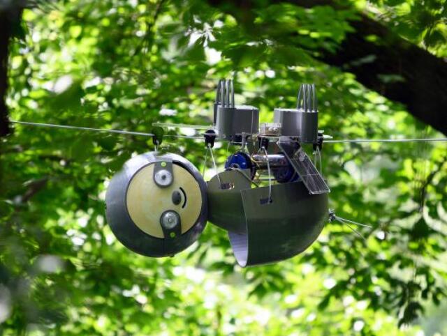 slothbot-16