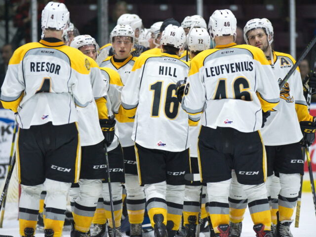 Sarnia Sting