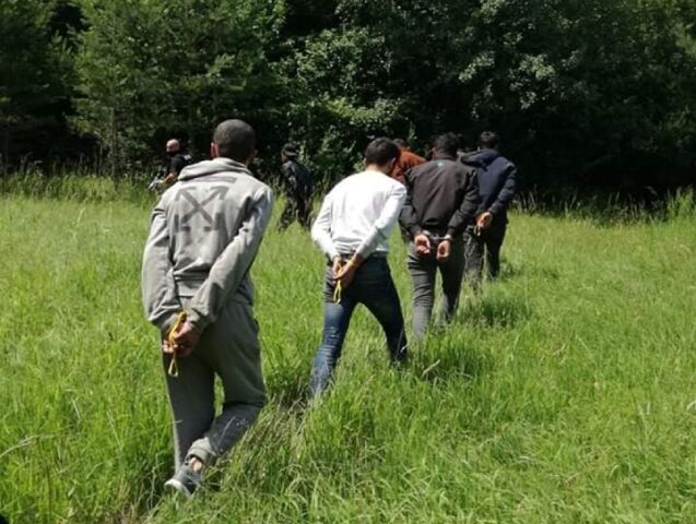 migranti